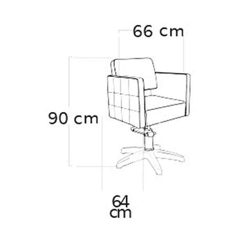 Fauteuil de Coiffure CAPRI - Noir, Pompe Hydraulique