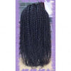 Perruque AFRO KINKY CURLY 9A Lace Frontal 13*6 Naturel Luxurious virgin hair my-feline-zone
